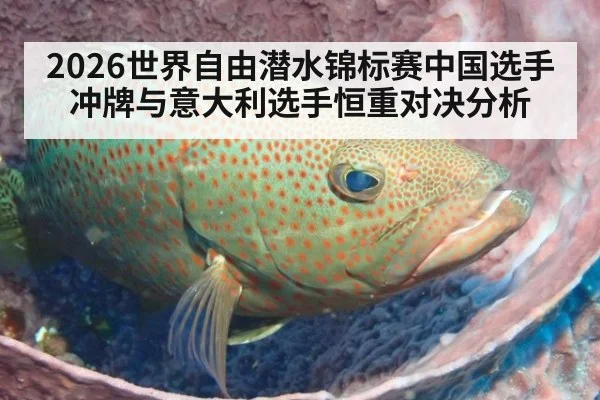 2026世界自由潜水锦标赛中国选手冲牌与意大利选手恒重对决分析